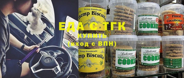 первитин Заводоуковск