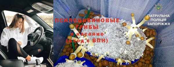 скорость Заволжск